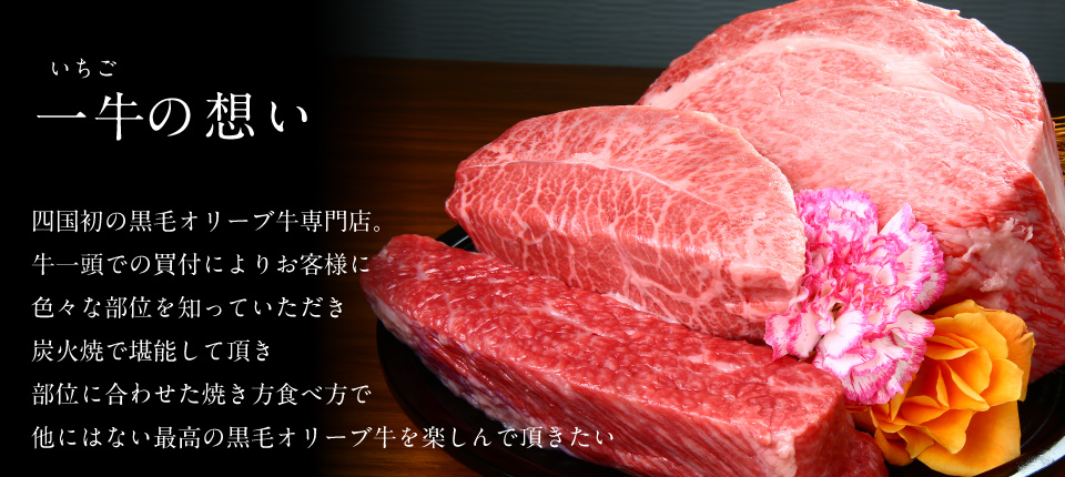 Ichigo's Heart　We are the first restaurant in Japan specializing in Olive Beef. We carefully choose  every cow directly from raisers and always serve whole of it grilling every part in most suitable for it way,so that you can enjoy Olive Beef to the fullest.